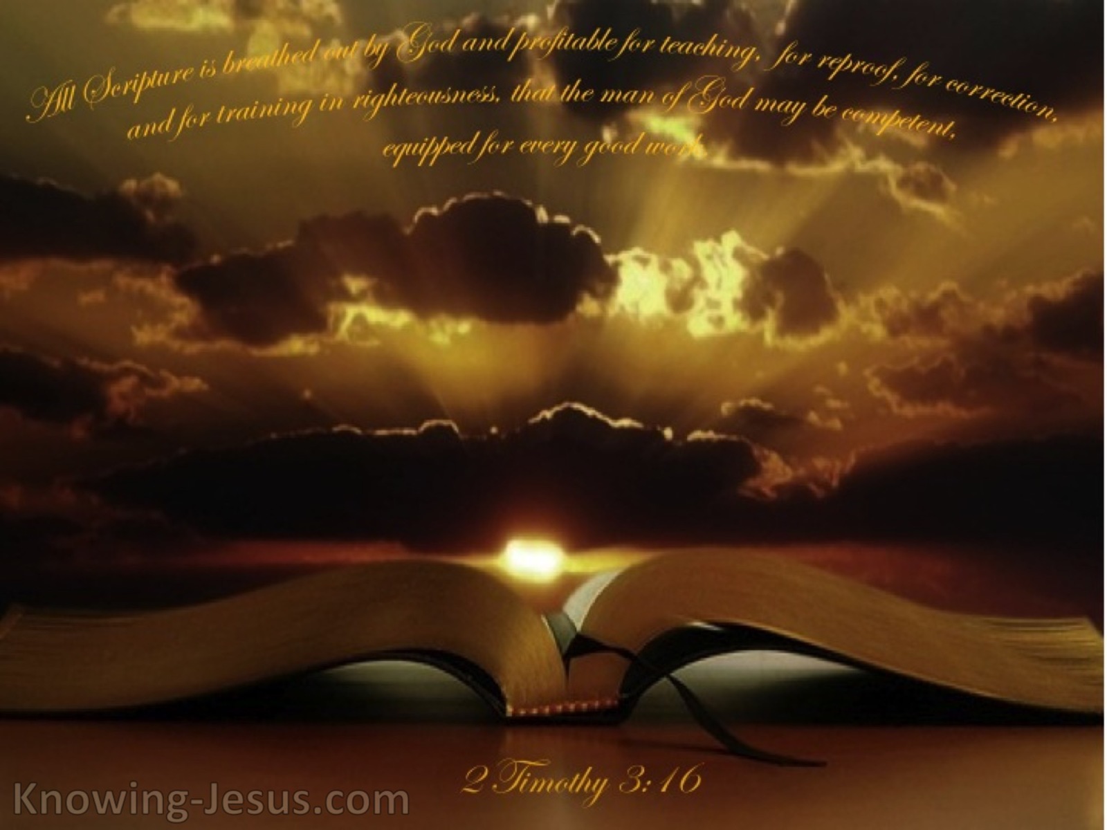 2 Timothy 3:16 All Scripture Is Written For Our Learning (brown)